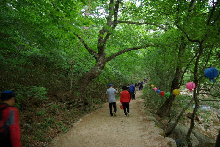 SG100595.JPG