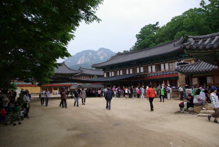 SG100682.JPG
