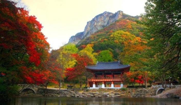 내장산1.png
