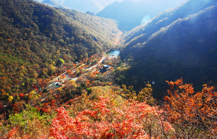 내장산5.png