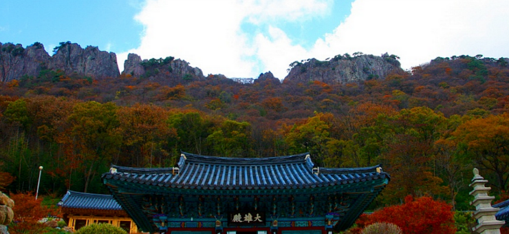 내장산7.png