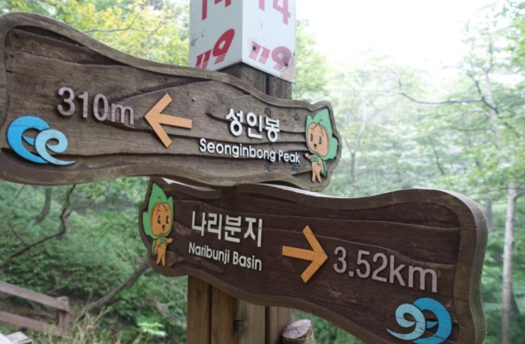 울릉13.png