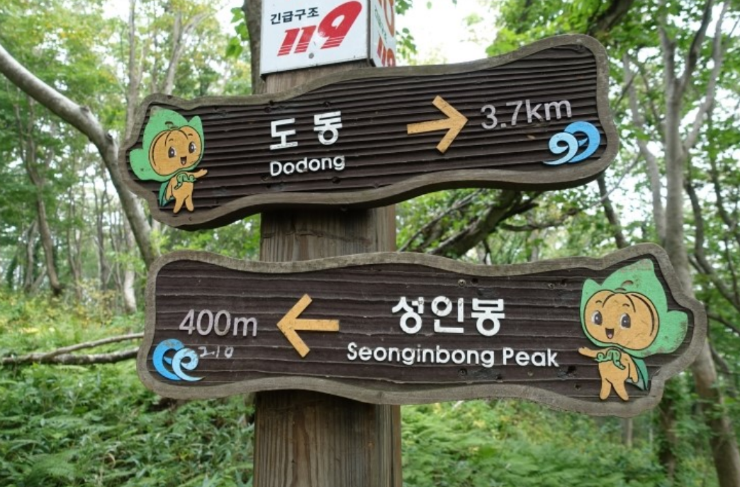 울릉9.png