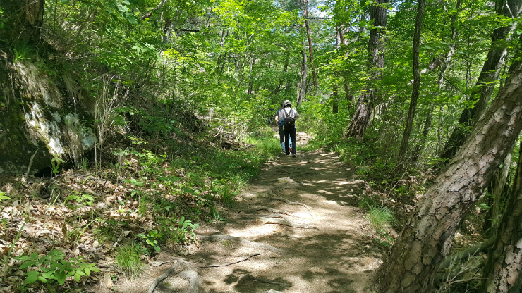 20160514_103235.jpg