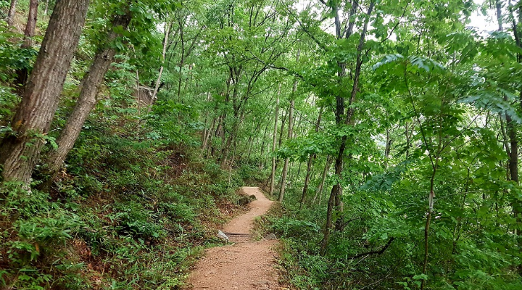 선유동천2.png