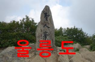 울릉도2박3일(단독진행)